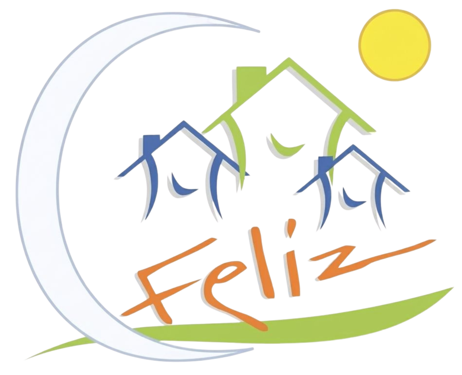 CFELIZ Logo